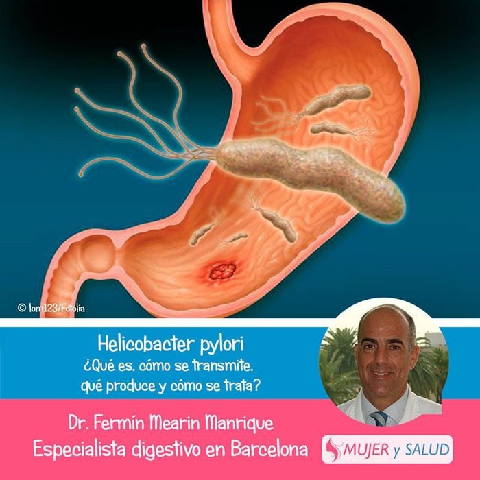 tratamiento del Helicobacter pylori tratamiento del Helicobacter pylori