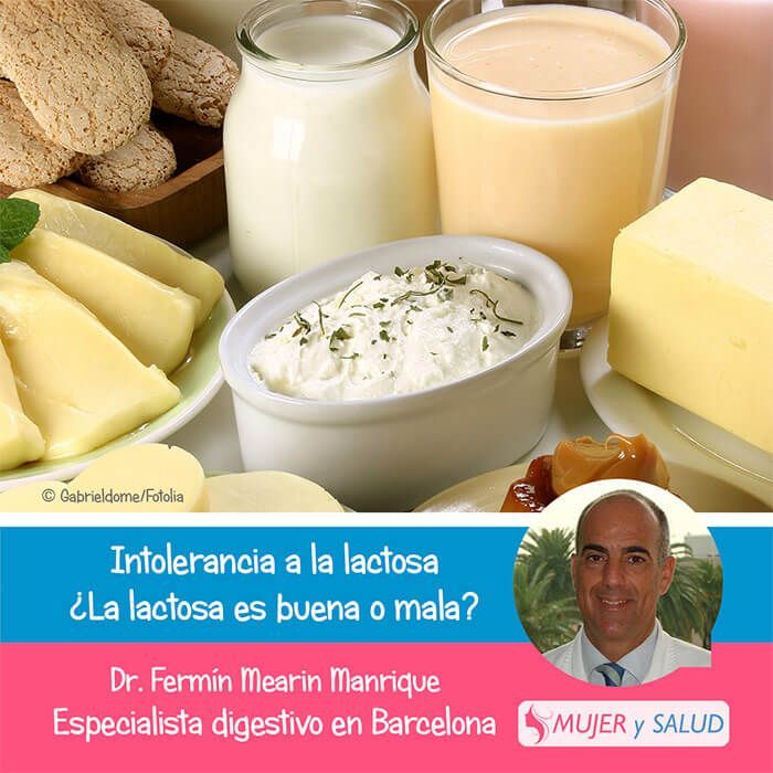 intolerancia a la lactosa intolerancia a la lactosa