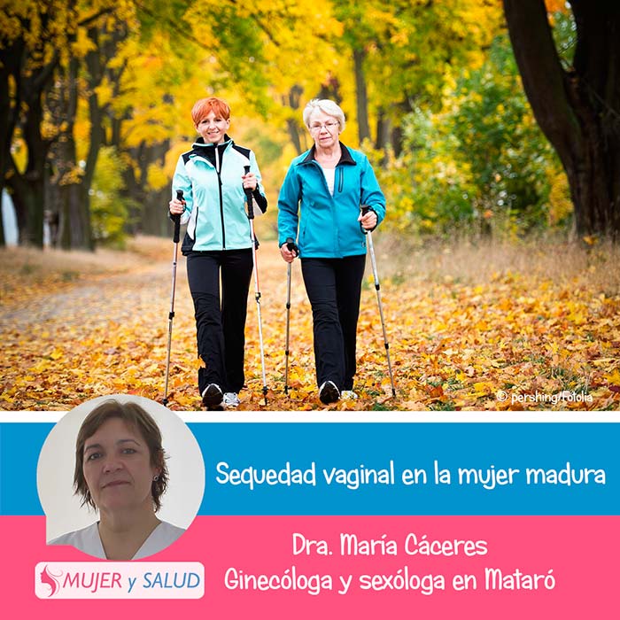sequedad vaginal sequedad vaginal